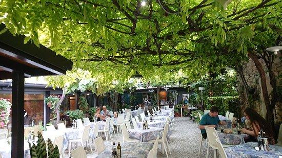 Trattoria All'Ancora